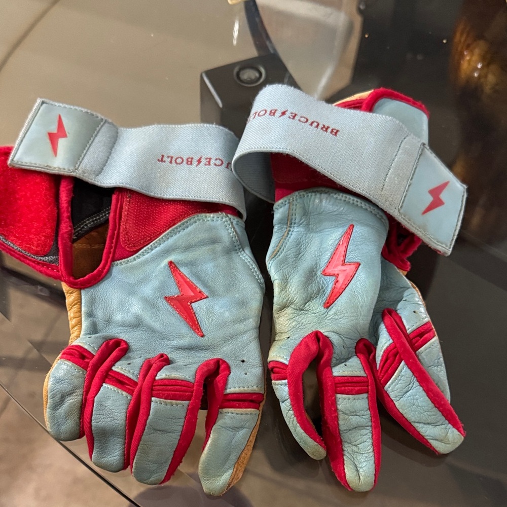 Red and Blue Kids Gloves
